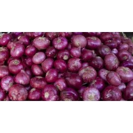 RED ONION SIZE 45MM+ PACKING 20KG MESH BAG